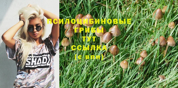 дмт Зерноград